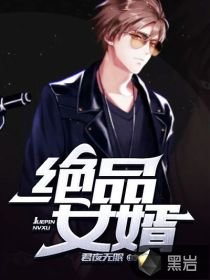 绝品女婿/绝品豪婿